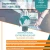 International Entrepreneurship Summer School